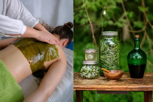 Ayurveda & Wellness Treatments Body Image