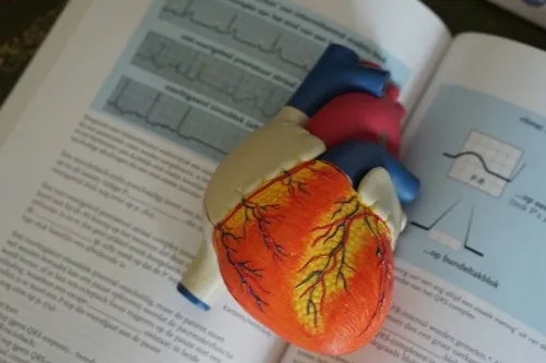 Cardiac Surgery & Heart Treatments Body Image