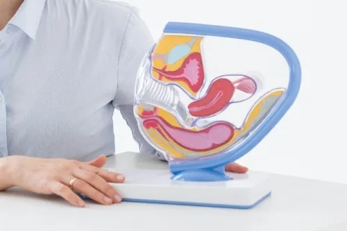 IVF & Fertility Treatments Body Image