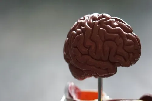 Neurosurgery Body Image